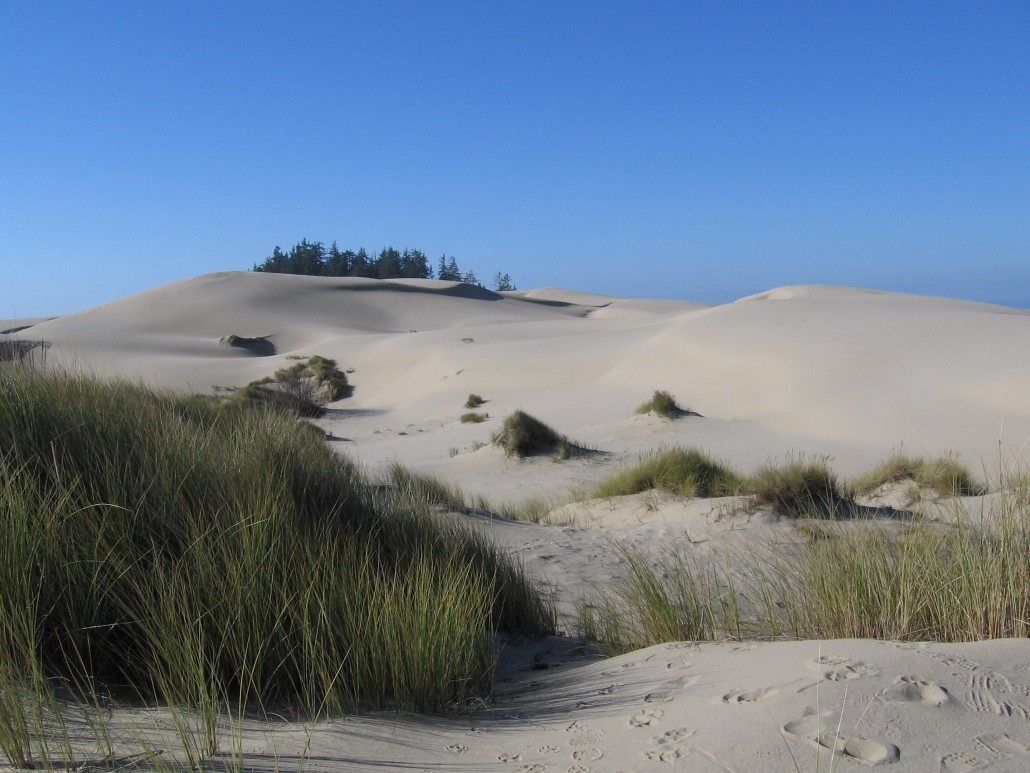 Oregon Dunes USA